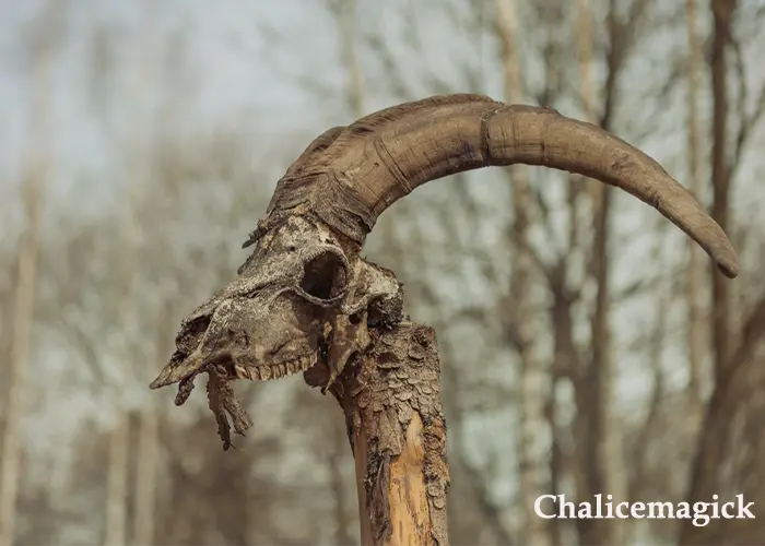 difference between hoodoo and voodoo image representation