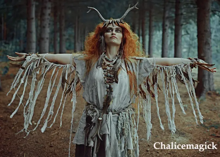 shamans and shamanism shamans and shamanism image representation