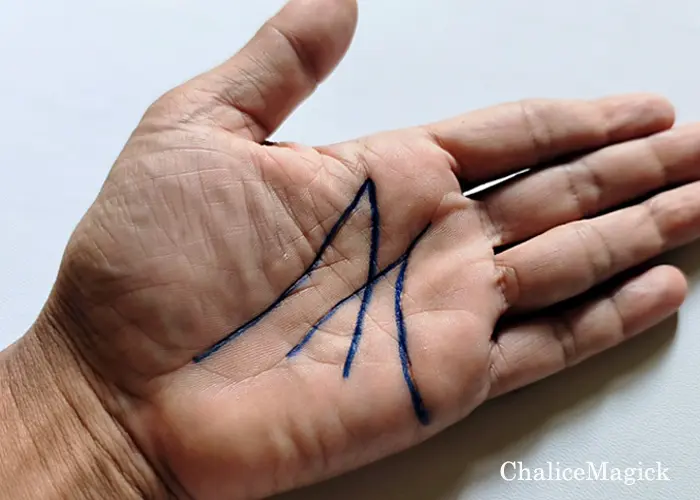 m on hand palm image representation